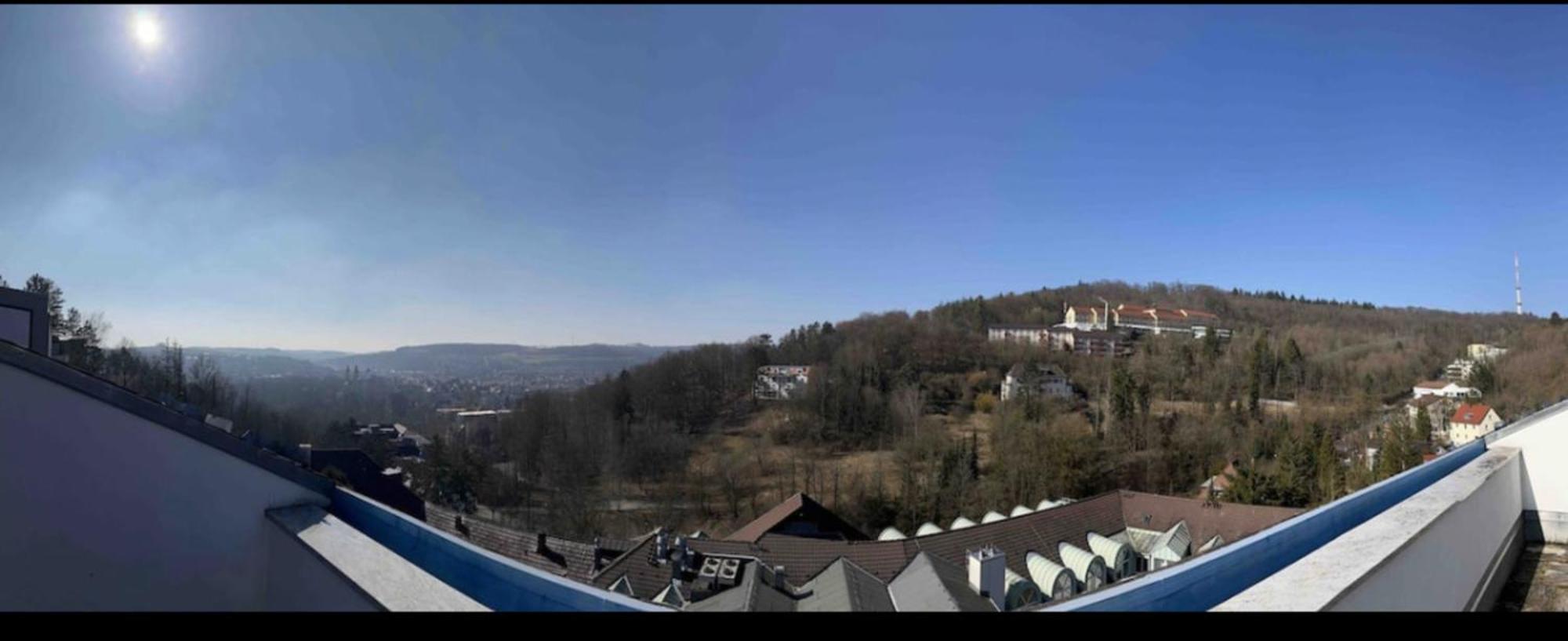 Апартаменты Penthouse Perfekt Fuer Teams, Familien Und Gruppen Бад-Мергентхайм Экстерьер фото